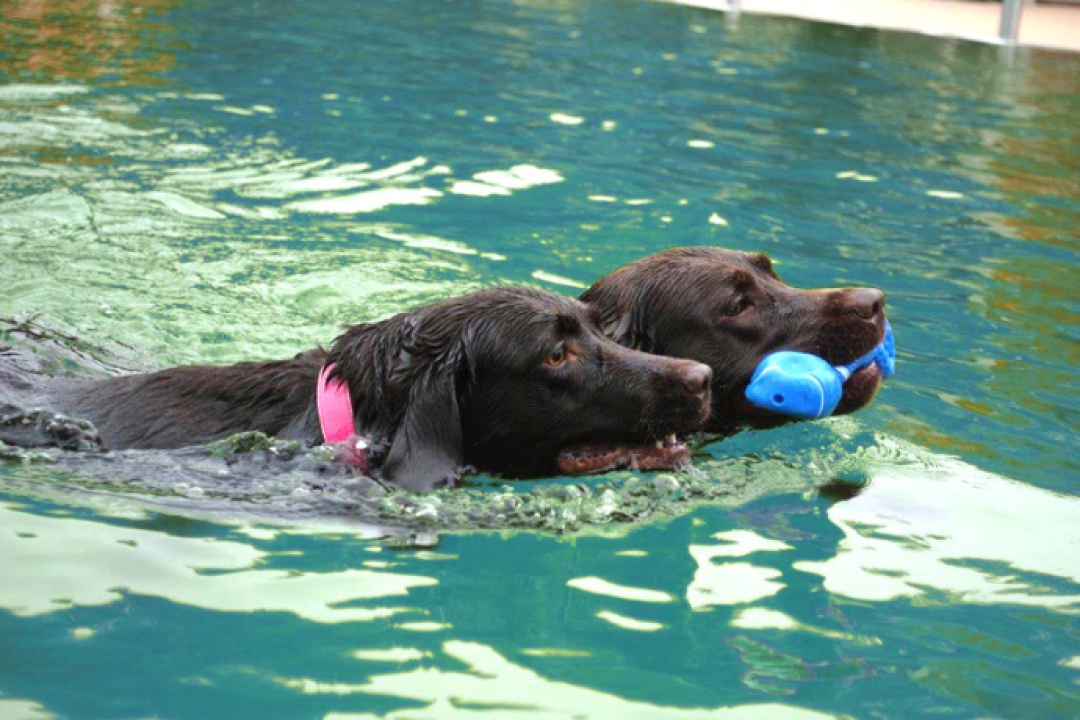 Bild für Unsere Veranstaltungen